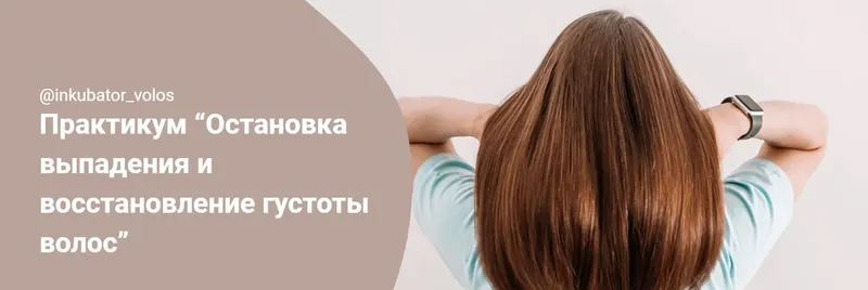 Скачать курс «[Инкубатор волос] Остановка выпадения и восстановление густоты волос. Тариф Базовый (Алена Панова)» — слив курса