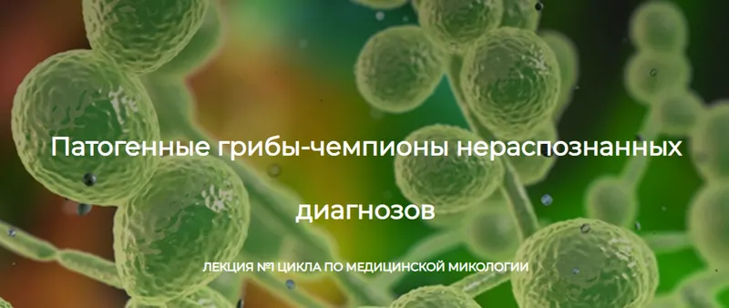Скачать курс «[Детокс центр Кафа] Патогенные грибы - чемпионы нераспознанных диагнозов (Игорь Кауфман)» — слив курса