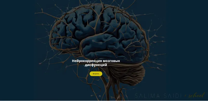 Обложка курса «Нейрокоррекция мозговых дисфункций. Декабрь 2024 (Салима Саиди)»