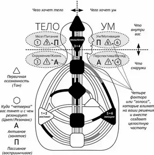 Скачать курс «[Дизайн Человека] Правое и левое» — слив курса
