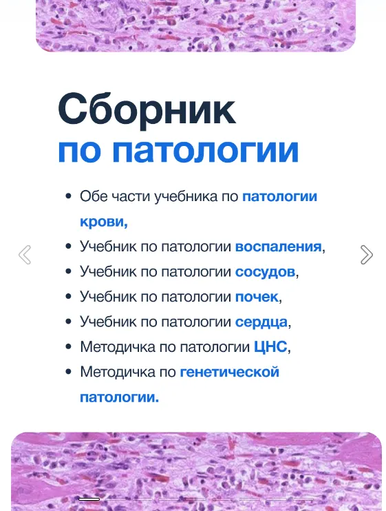 Скачать курс «[Synapse] Сборник по Паталогии» — слив курса