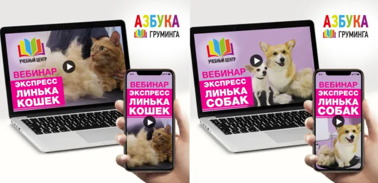 Скачать курс «[Азбука Груминга] Линька MIX (Дарья Казимова)» — слив курса