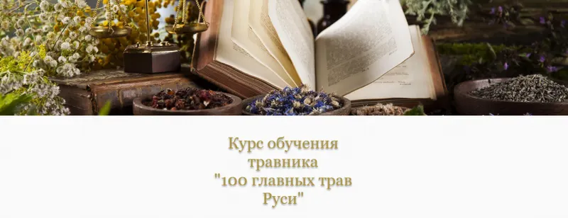 Обложка курса «[Медвежий угол] 100 главных трав Руси (Елена Горчакова)»