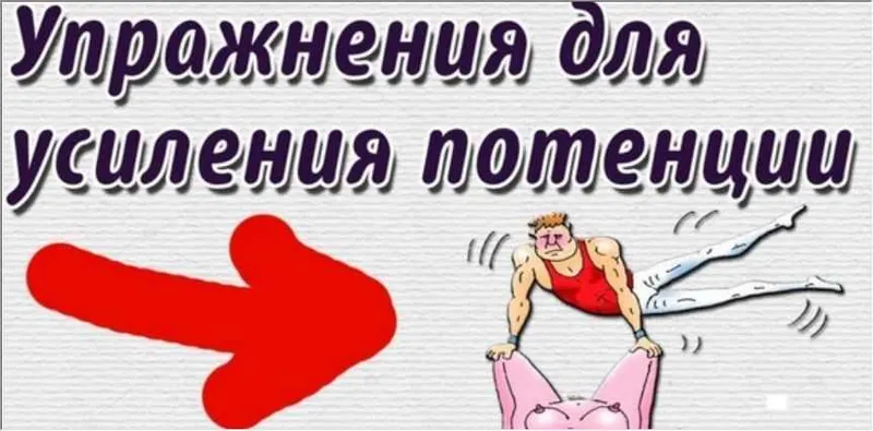 Скачать курс «Упражнения для эрекции. Полный курс (Екатерина Макарова)» — слив курса