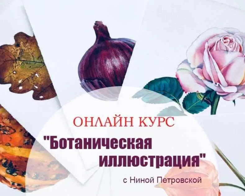 Скачать курс «Ботаническая иллюстрация (Нина Петровская)» — слив курса