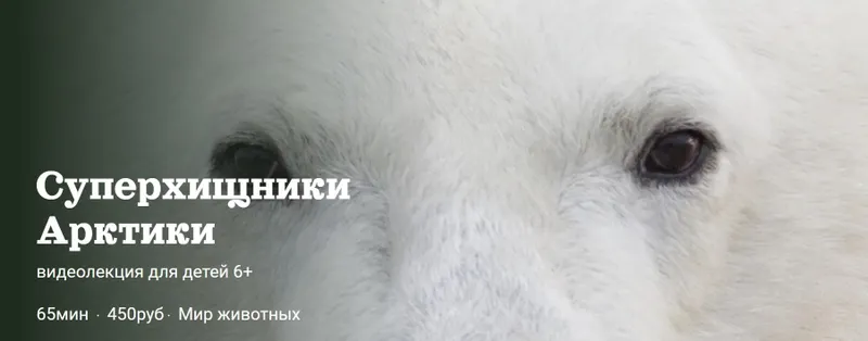 Скачать курс «[Детский лекторий] Суперхищники Арктики (Александр Толмачев)» — слив курса