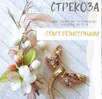 Скачать курс «Брошь «Стрекоза» (Александра Рупека)» — слив курса