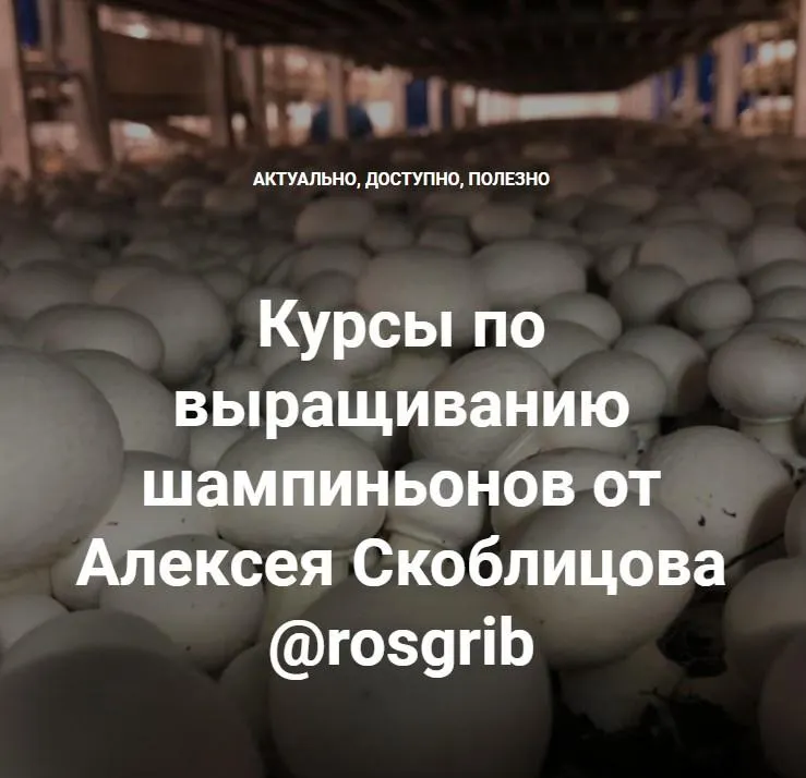 Скачать курс «Курсы по выращиванию шампиньонов (Алексей Скоблицов)» — слив курса