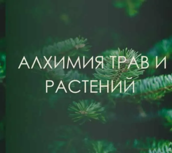 Скачать курс «[Берегиня] Алхимия трав и растений (Марина Левит)» — слив курса