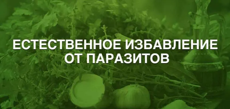 Обложка курса «Естественное избавление от паразитов (Анна Зименская)»