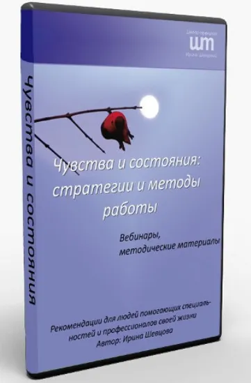 Скачать курс «Чувства и состояния стратегия и методы работы (Ирина Шевцова)» — слив курса