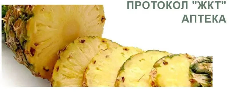 Скачать курс «Протокол "Жкт" аптека (lana.dietolog)» — слив курса