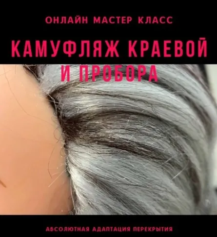 Скачать курс «Камуфляж краевой и пробора (Дина Панормова)» — слив курса