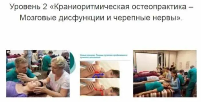 Скачать курс «Уровень 2.Краниоритмическая остеопрактика – Мозговые дисфункции и черепные нервы (Александр Смирнов)» — слив курса