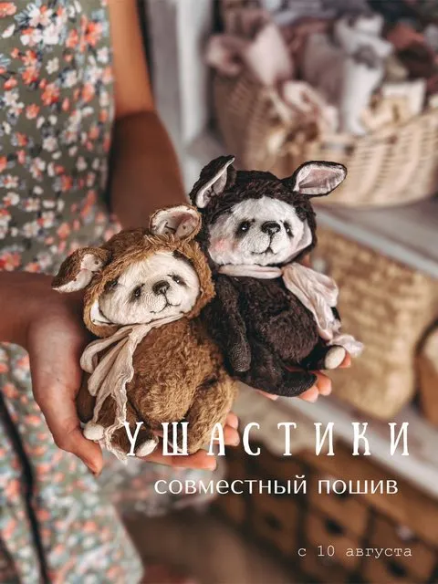 Скачать курс «Ушастики (Женя Закерьина)» — слив курса