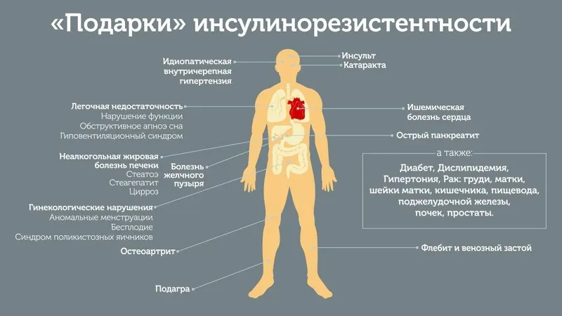 Скачать курс «[Первая школа биохакинга] Инсулинорезистентность. Перезагрузка. Тариф Без чата  (Ирина Баранова)» — слив курса