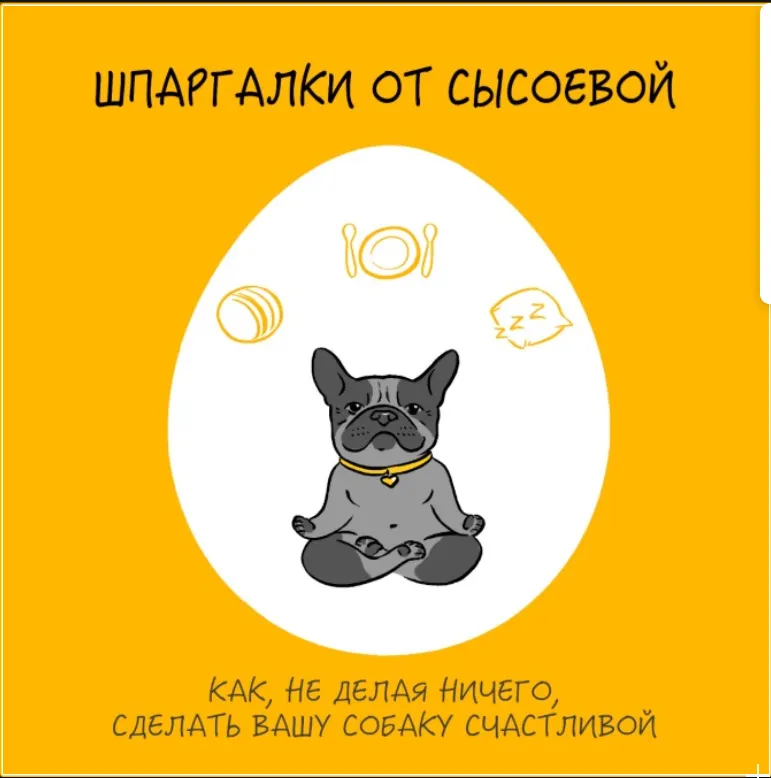 Скачать курс «Цифровые Шпаргалки от Сысоевой (Ольга Сысоева)» — слив курса