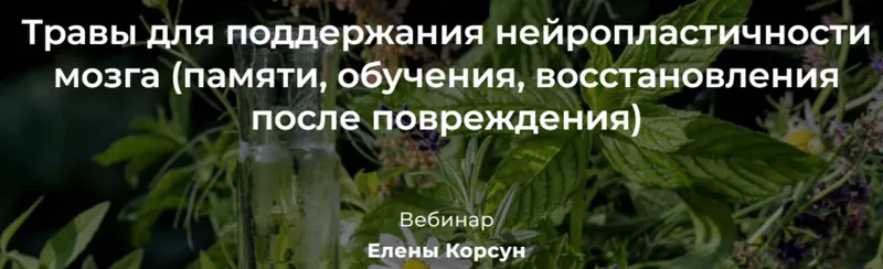 Скачать курс «Травы для поддержания нейропластичности мозга (Елена Корсун)» — слив курса