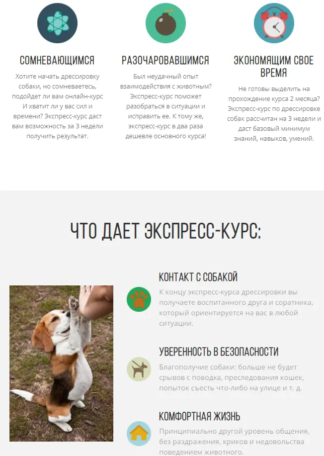 Скачать курс «[kinologschool] Воспитанная собака за 3 недели (Антонина Зимарева)» — слив курса