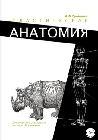 Скачать курс «Пластическая анатомия (Мария Приймова)» — слив курса