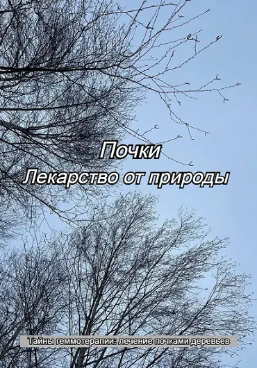 Скачать курс «Почки. Лекарство от природы (Елена Матюнина)» — слив курса