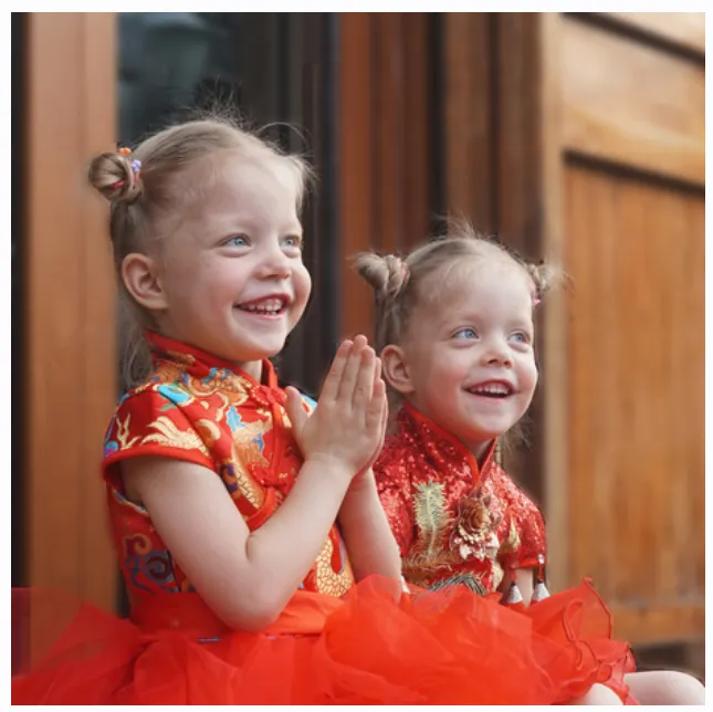 Скачать курс «Китайский для детей 6-12 лет. Модуль 1 (Анна Кузина)» — слив курса