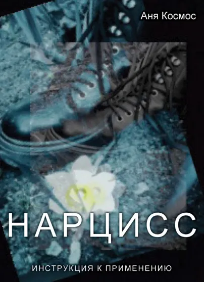Скачать курс «Нарцисс. Инструкция к применению (Аня Космос)» — слив курса
