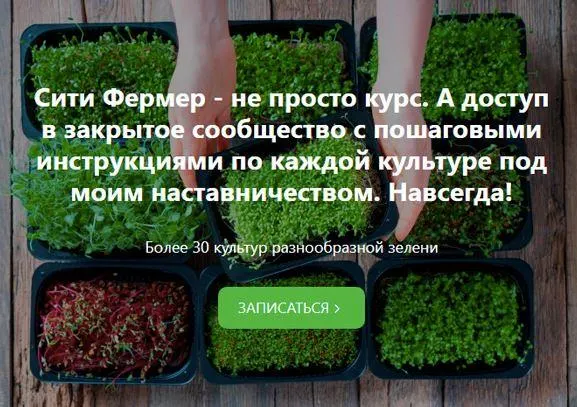 Скачать курс «Сити Фермер: Свежая микрозелень у вас дома за одну неделю (Михаил Попов)» — слив курса