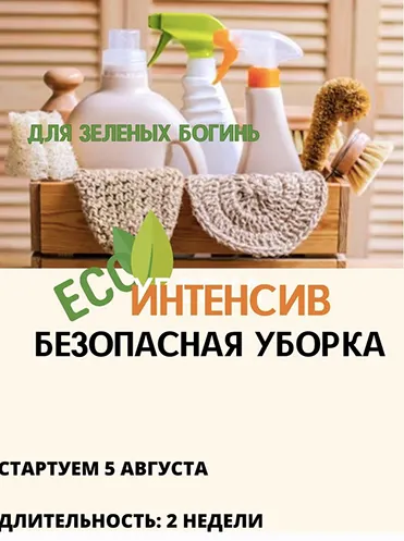 Скачать курс «Безопасная уборка (Екатерина Кудерцева)» — слив курса