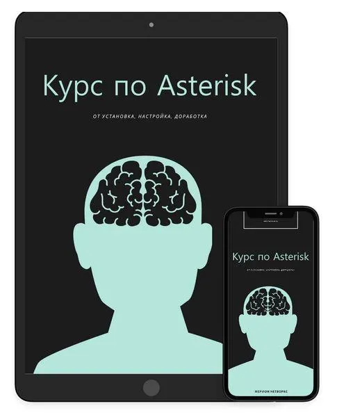 Скачать курс «[Merion Networks] Двухнедельный онлайн курс по Asterisk (Мерион Нетворкс)» — слив курса