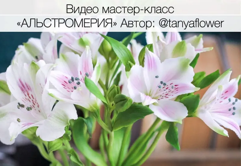 Скачать курс «Альстромерия из холодного фарфора (tanyaflower)» — слив курса