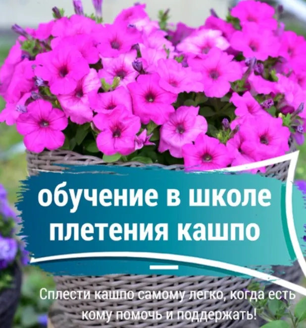 Скачать курс «[Мастерская Хуторянка] Обучение в школе плетения кашпо (Снежана Чубыкина)» — слив курса