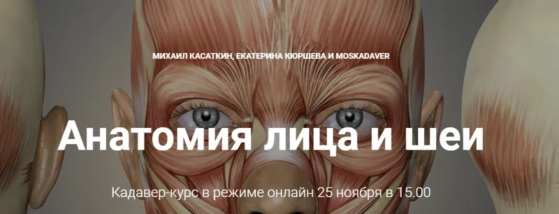 Скачать курс «Кадавер-курс Анатомия лица и шеи (Михаил Касаткин, Екатерина Кюршева)» — слив курса