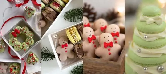 Скачать курс «[shunichka] Обучение по отсадке новогодних фигурных макарон и начинка макарон Розмарин-Брусника 2024 (Александра Сенина)» — слив курса
