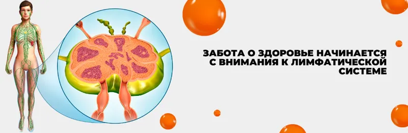 Скачать курс «Секрет молодости организма. Лимфотренировки» — слив курса