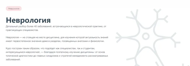 Скачать курс «[Synapse] Неврология (Ольга Хегай, Елизавета Грачева)» — слив курса