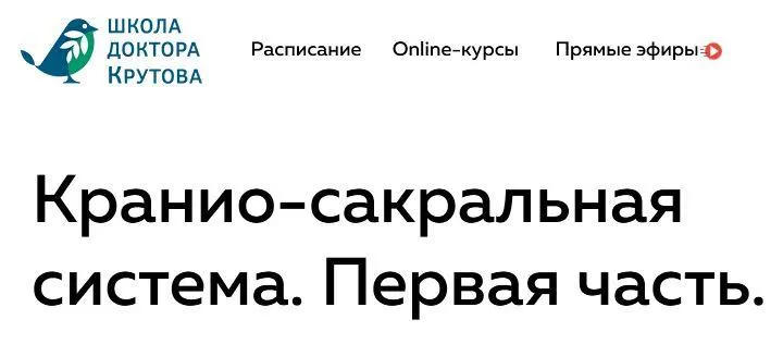 Скачать курс «Кранио-сакральная система. Часть первая (Григорий Крутов)» — слив курса