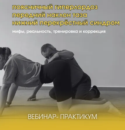 Скачать курс «Поясничный гиперлордоз, передний наклон таза, нижний перекрёстный синдром (Александр Волоткевич)» — слив курса