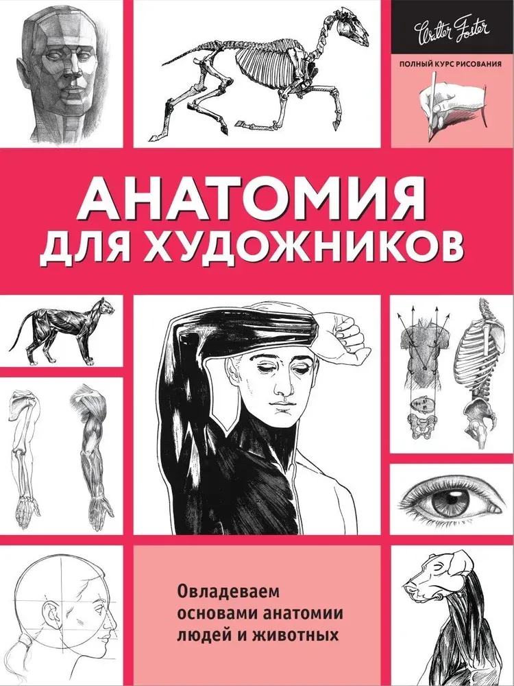 Скачать курс «Анатомия для художников (Уильям Пауэлл, Кен Голдман)» — слив курса