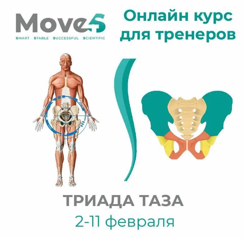 Скачать курс «[move4s] Триада таза (Леля Савосина)» — слив курса