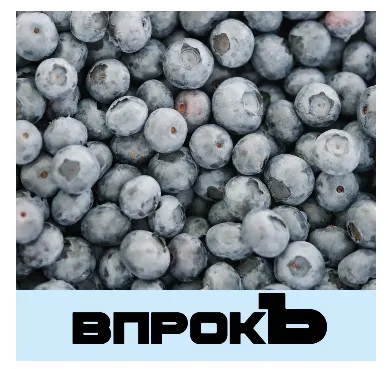 Обложка курса «Впрокъ. Справочник по заготовкам (Лена Козырь)»