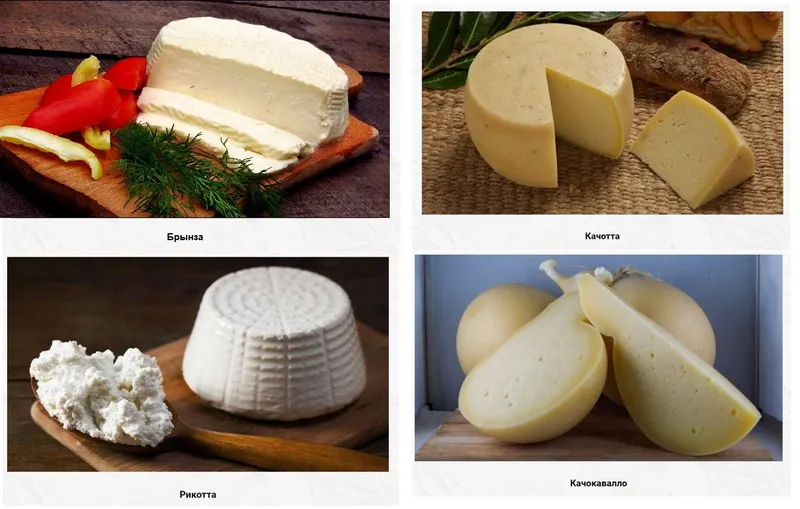 Скачать курс «[cheese-lab.ru]Научись варить 10 видов сыров всего за 2 месяца. Пакет Стандарт (Светлана Ивлева)» — слив курса