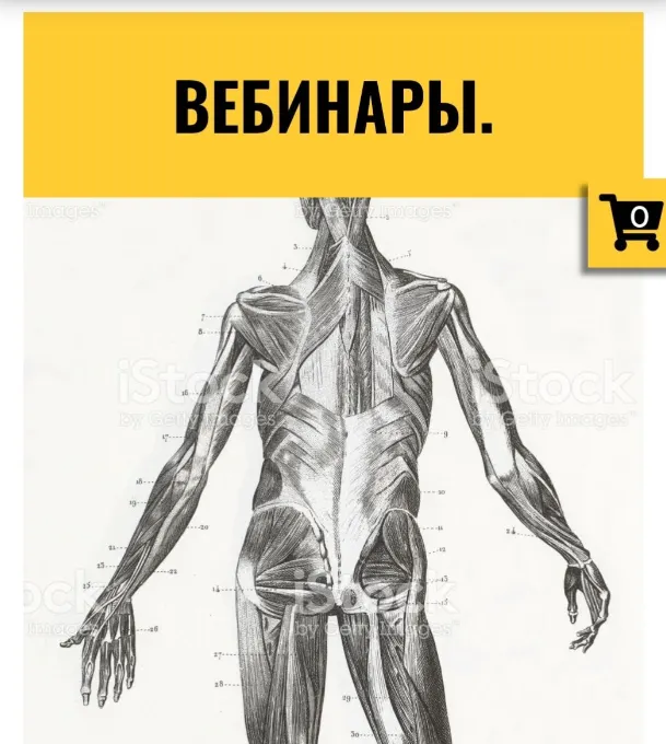 Скачать курс «[CrowStore] Тазовое дно. Вебинары. Серия 1 (Анна Воронина)» — слив курса