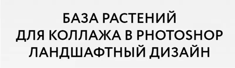 Скачать курс «[Школа ландшафтного дизайна] База растений для коллажа в Photoshop (Оксана Хлебородова)» — слив курса