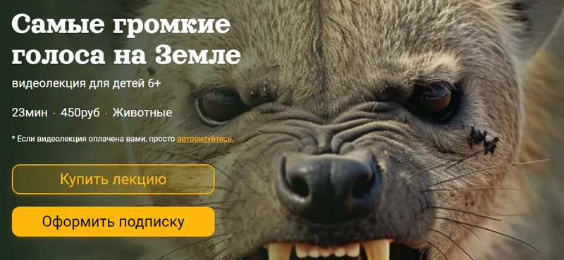Скачать курс «Самые громкие голоса на Земле (Александр Толмачев)» — слив курса