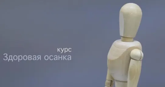 Скачать курс «Здоровая осанка (Андрей Беловешкин)» — слив курса
