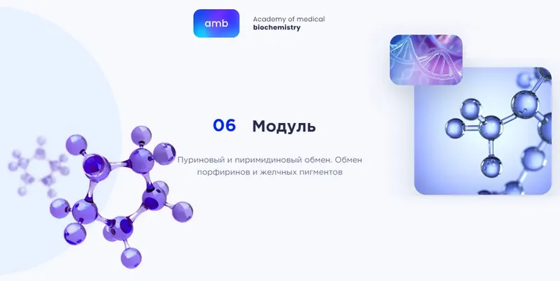 Скачать курс «[amb] Основы биохимии. 6 модуль. Пуриновый и пиримидиновый обмен. Обмен порфиринов и желчных пигментов (Елизавета Радевич)» — слив курса