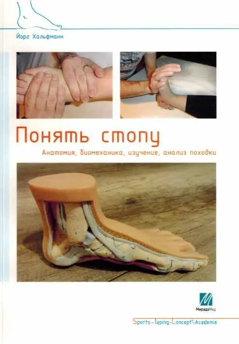 Скачать курс «Понять стопу. Анатомия, биомеханика, изучение, анализ походки (Йорг Хальфманн)» — слив курса