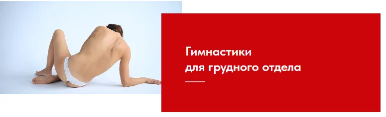 Скачать курс «Упражнения для грудного отдела позвоночника (Евгения Кузнецова)» — слив курса