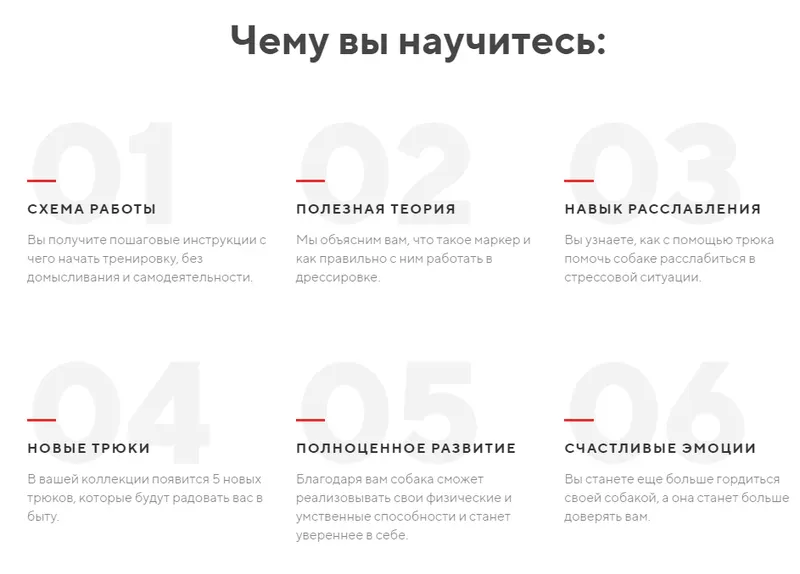 Скачать курс «[kinologschool] Трюки 2.0 (Антонина Зимарева)» — слив курса